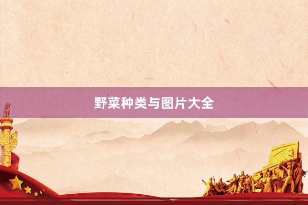 野菜种类与图片大全