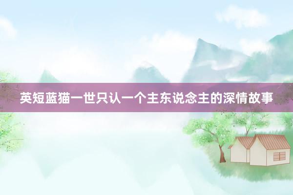 英短蓝猫一世只认一个主东说念主的深情故事